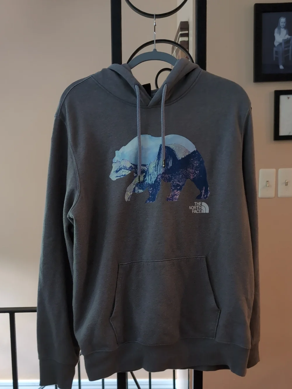 The North Face Men's TNF Bear Pullover Hoodie Grey Large NF0A5J93